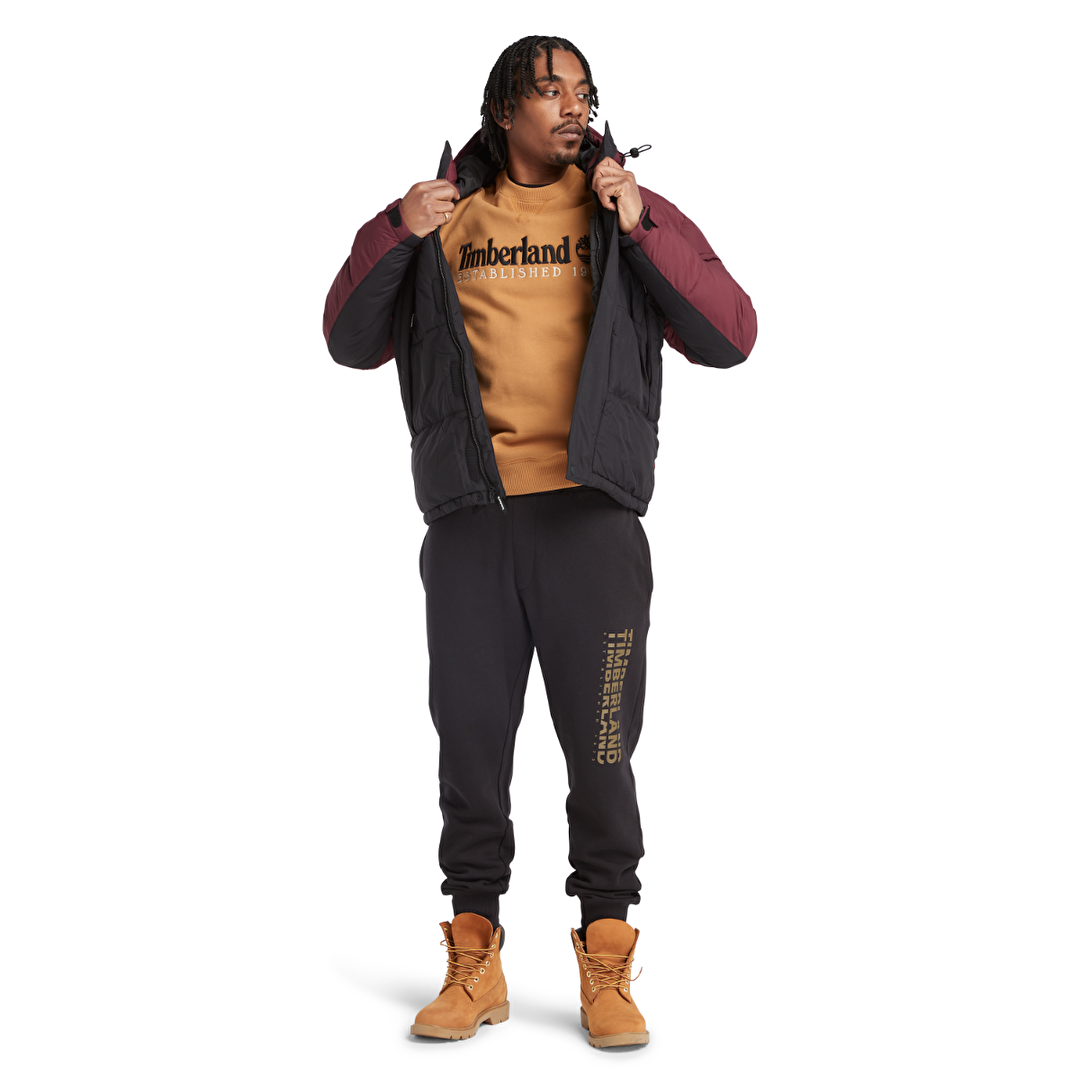 Timberland brush on sale