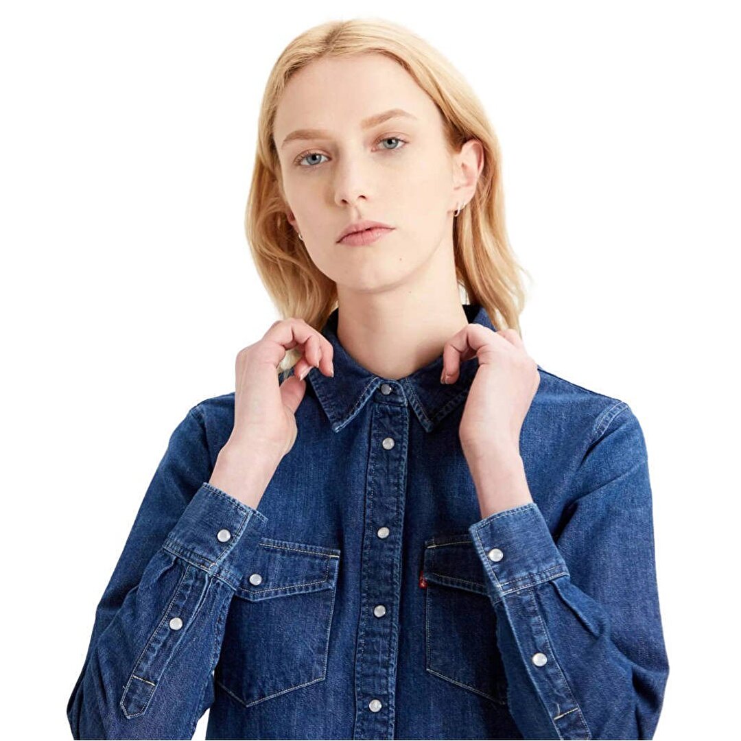 Levis essential western 2025