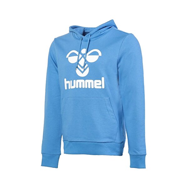 Hummel erkek hoodie best sale